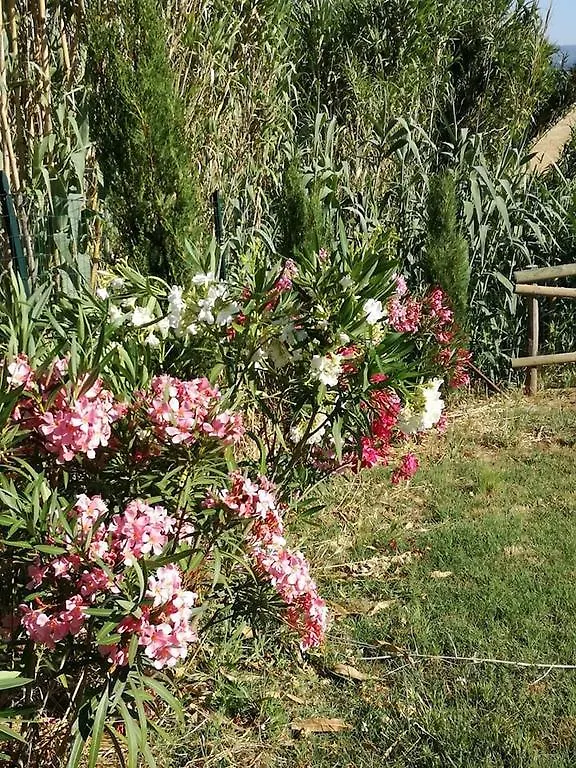Agriturismo La Spiga Montecatini Val di Cecina 0*,  Italy