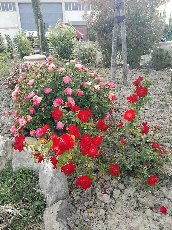 Farm stay Agriturismo La Spiga Villa Montecatini Val di Cecina Italy